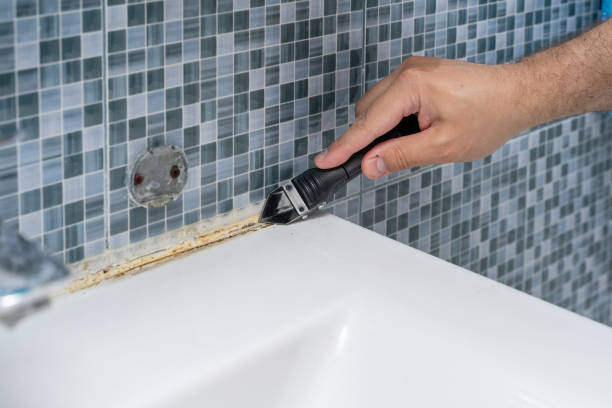 Best Mold Testing  in Pleasantville, NJ