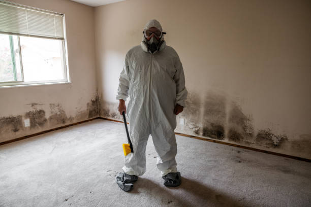 Reliable Pleasantville, NJ Mold Removal Solutions