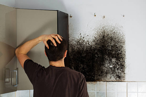 Best Professional Mold Removal  in Pleasantville, NJ